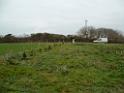 3 Feb 2007 Planting Trees 2007-02-18